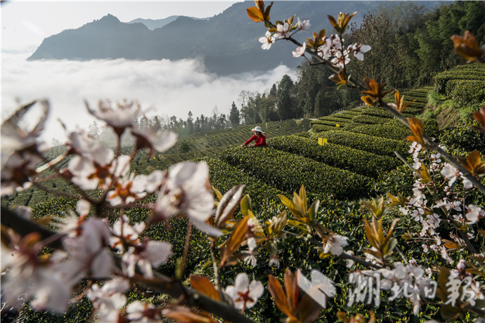 1598517681688.jpg 1.jpg