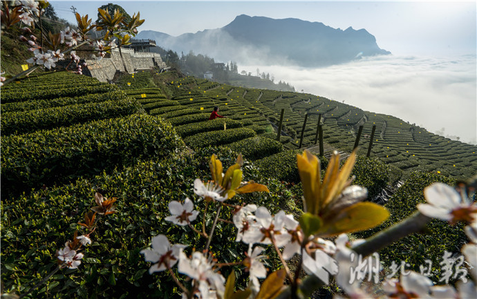 1598517694268.jpg 2.jpg