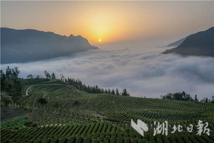 1598517705448.jpg 3.jpg