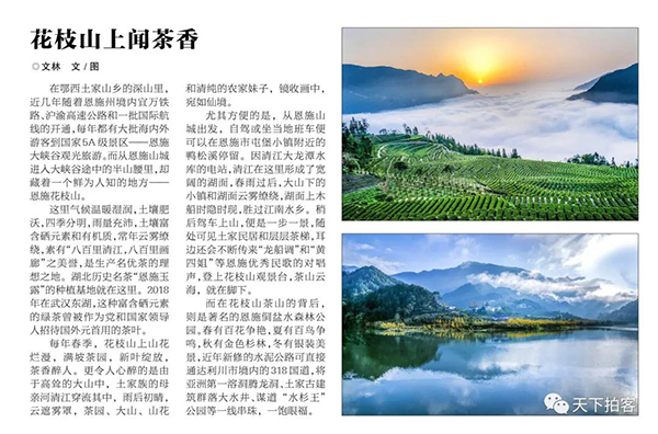 1598517892674.jpg 1.jpg