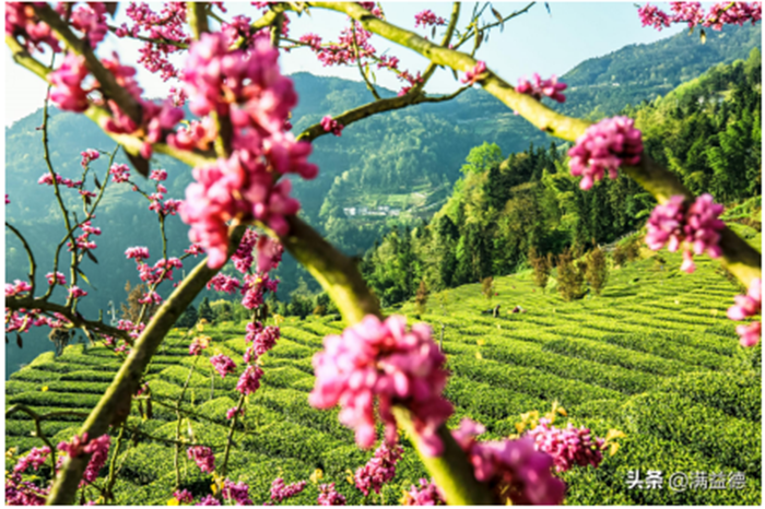 1619058057405.png 1).png