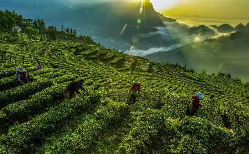 1670816981867.jpg 微信图片_20221212113554.jpg