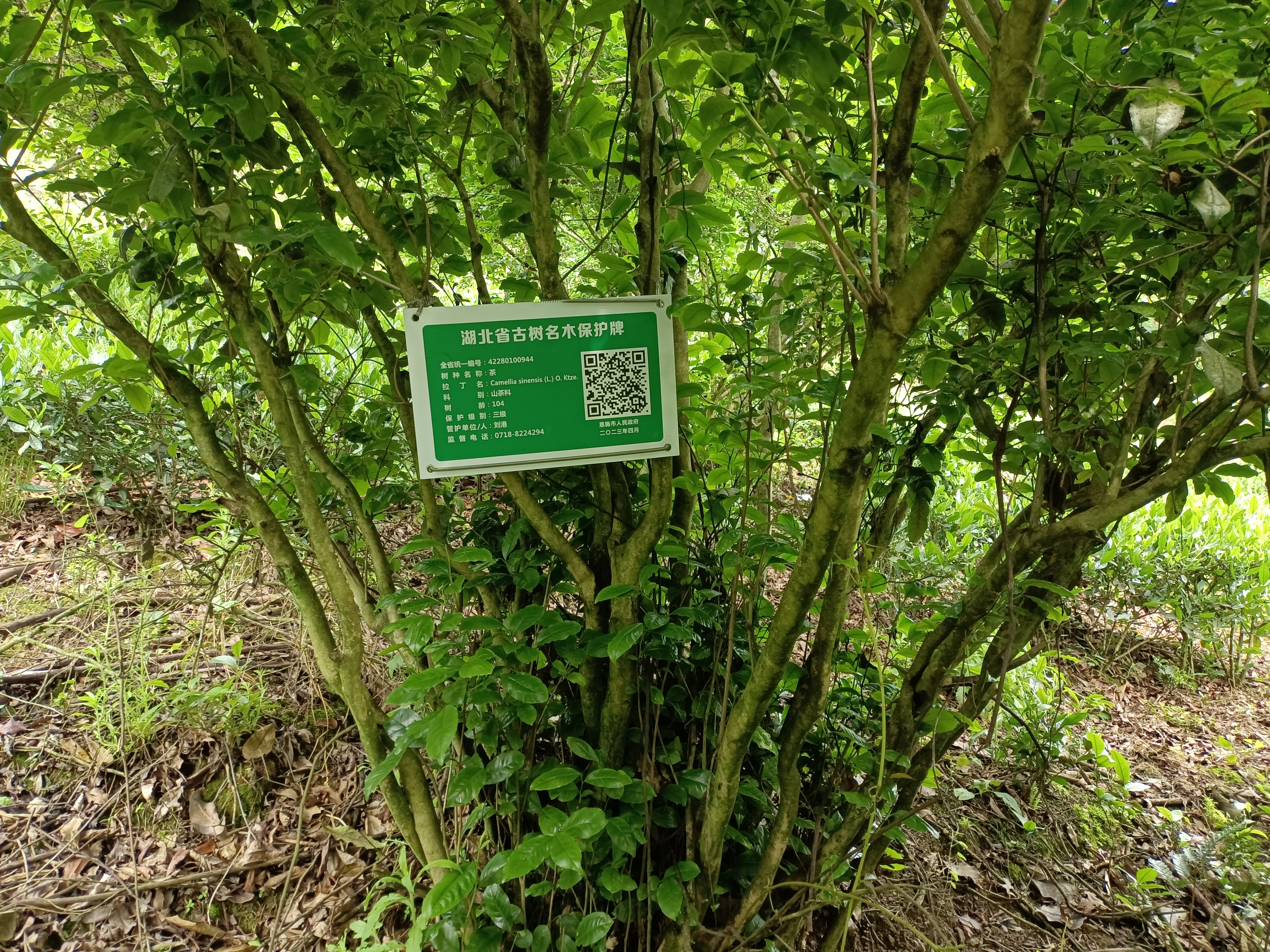 1761536969426.png 1761536969426.png